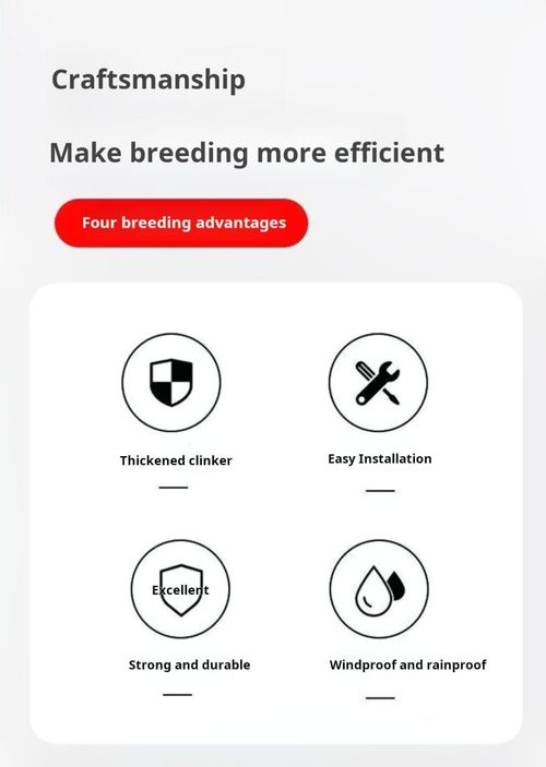 2287--9 PiecesAutomatic poultry feeder