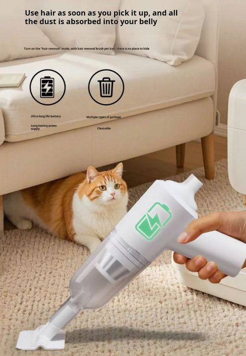 2505--electric vacuum cleaner