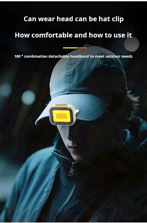 2515--Multifunctional portable lamp