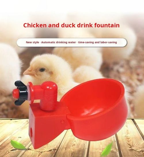 2222--12 Pieces Automatic poultry waterer