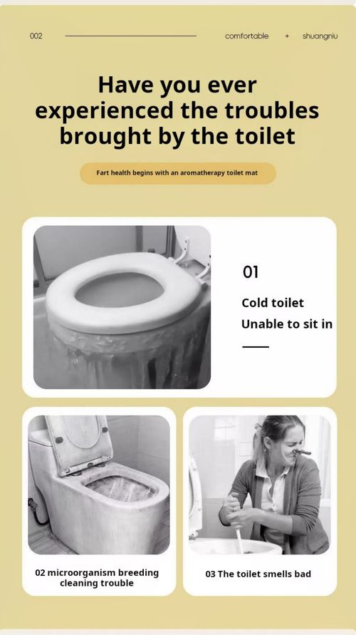 2343--4 pieces Scented waterproof toilet seat pad