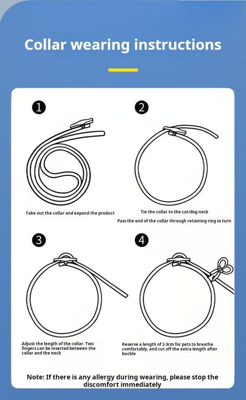 2487--2 Pieces Pet plant essential oil collar