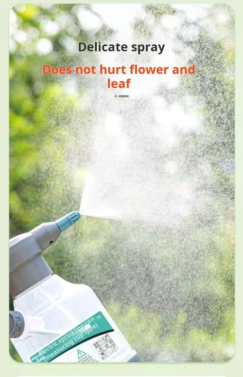 2496--Electric sprayer