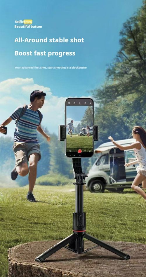 2212--Cloud platform stabilization selfie stick