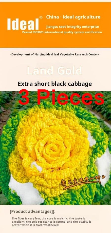 2350--3 Packaging Cream-colored heart-shaped spinach seeds