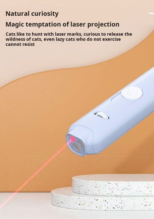 2467--Multifunctional Laser Cat Teaser Wand