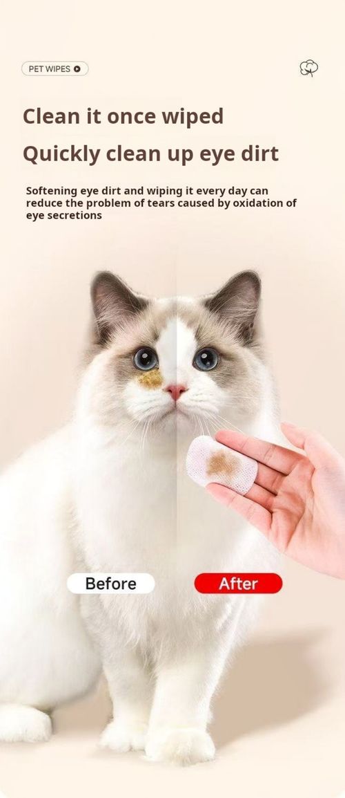 2494--3 Pieces Pet eye and ear wipes