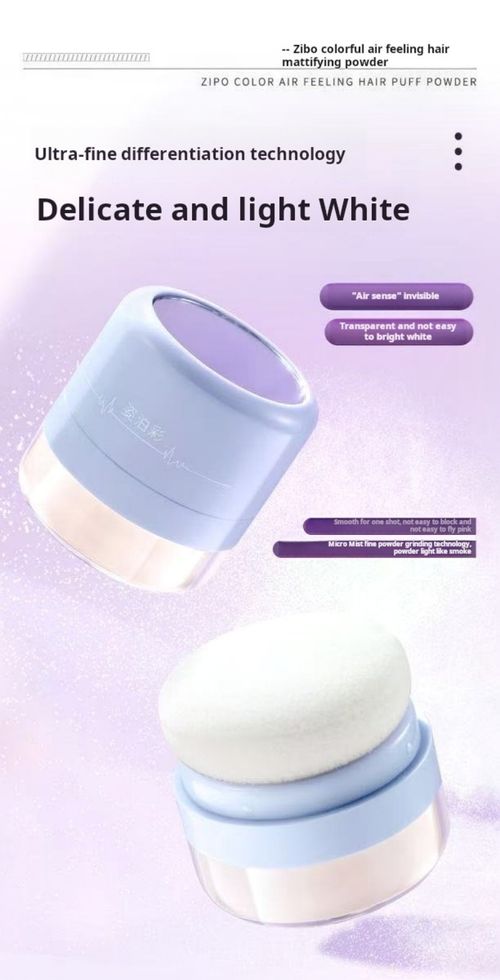 2404--3 Pieces Head Oil Control Powder