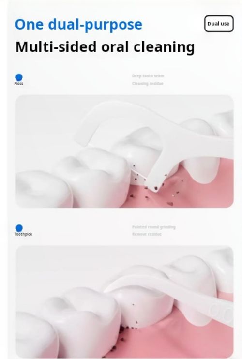 2408--2 Pieces Portable dental floss