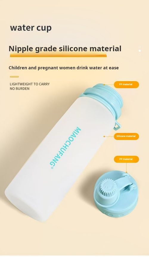 2434 -- Silicone folding water bottle