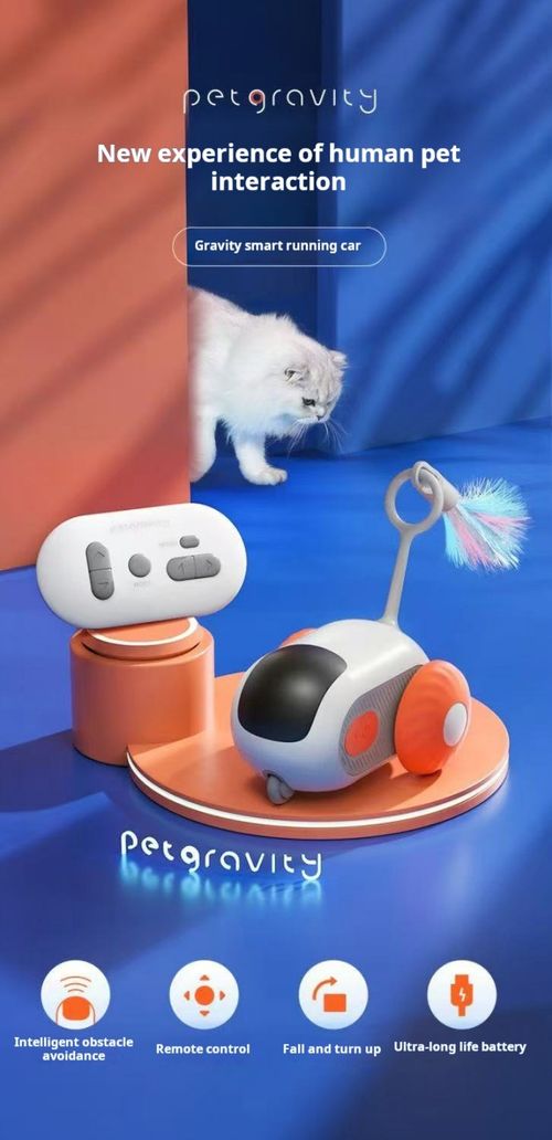 2503--Remote-controlled Cat-Petting Car