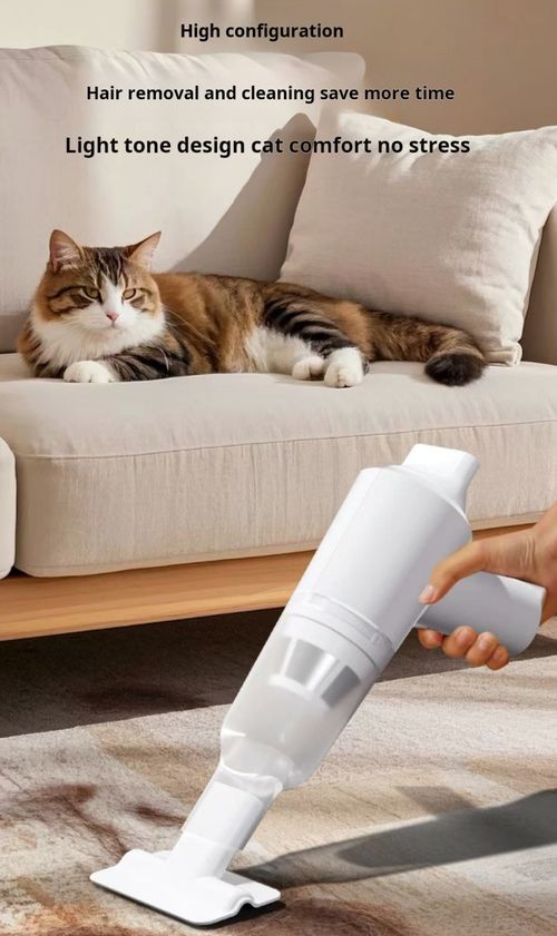 2505--electric vacuum cleaner