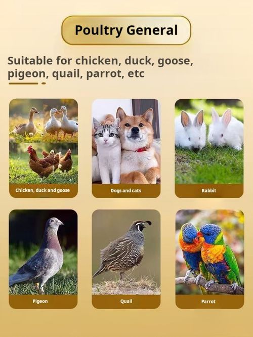 2222--12 Pieces Automatic poultry waterer