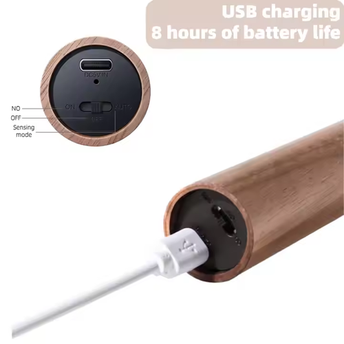 1954--COD Available--Wireless magnetic induction lamp