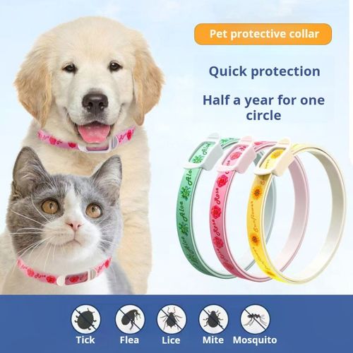 2487--2 Pieces Pet plant essential oil collar