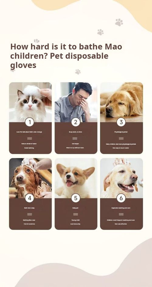 2493--4 Pieces Pet One-time Use Cleaning Gloves