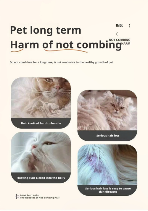 2108--2 Pieces Multifunctional Electric Pet Hair Brush