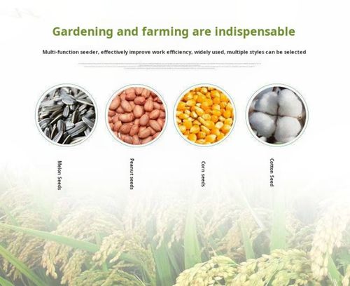 2256--Corn and peanut crop sowing machine