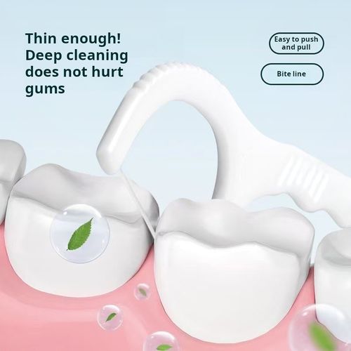 2408--2 Pieces Portable dental floss
