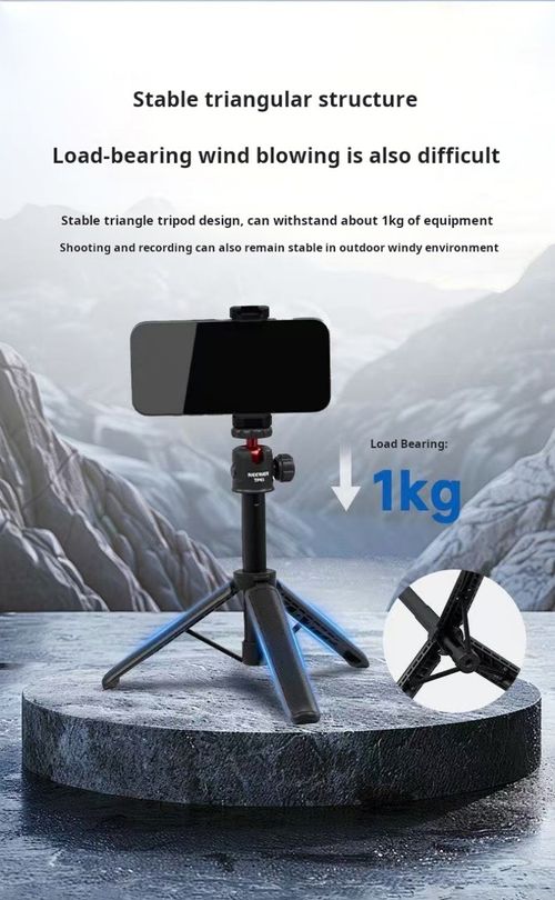 2342--Holding a telescopic selfie stick