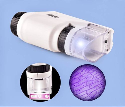 The Explorer's Lens: A Powerful Handheld Microscope for Curious Kids to Discover the Hidden World Anywhere