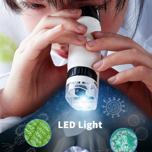 The Explorer's Lens: A Powerful Handheld Microscope for Curious Kids to Discover the Hidden World Anywhere
