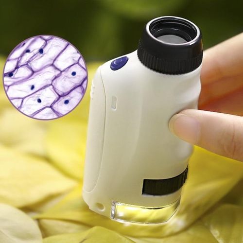 The Explorer's Lens: A Powerful Handheld Microscope for Curious Kids to Discover the Hidden World Anywhere