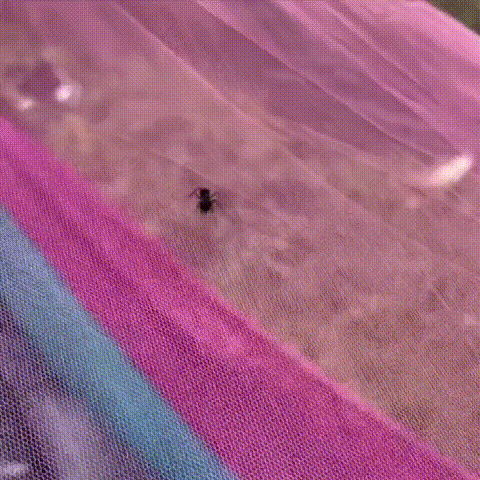 Outdoor mosquito net hammock