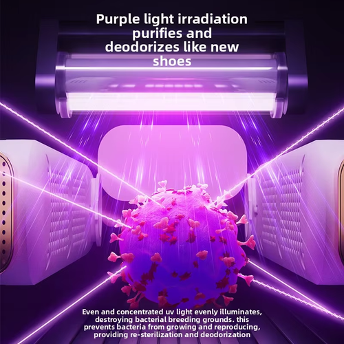 Dual-Use Fully Automatic Electric Shoe & Clothes Dryer Durable Modern Wet & Dry Home Appliance for Hotel & Outdoor Use