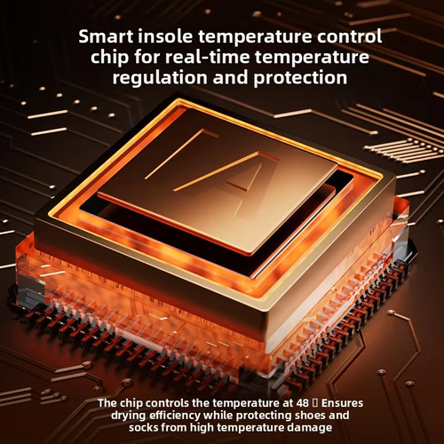 Dual-Use Fully Automatic Electric Shoe & Clothes Dryer Durable Modern Wet & Dry Home Appliance for Hotel & Outdoor Use