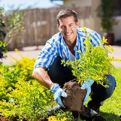 Soil improvement loosening agent