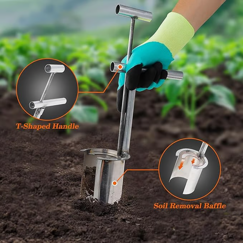 Plant Seedling Transplanter