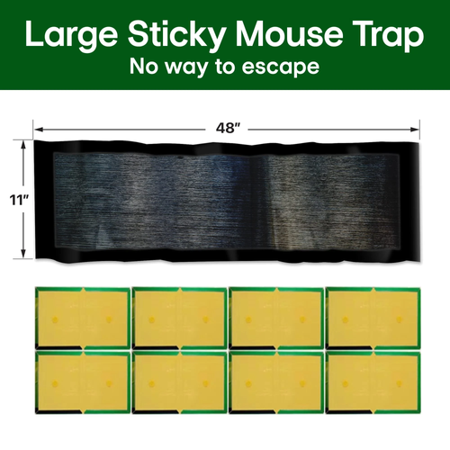Mouse Trap: Control Rodents Easily & Effectively!