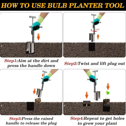 Plant Seedling Transplanter