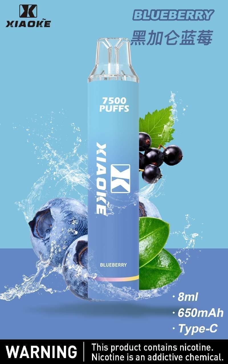 XIAOKE拋棄式電子煙 以多口味搭配穩定輸出為重點，更看重結構與日用手感