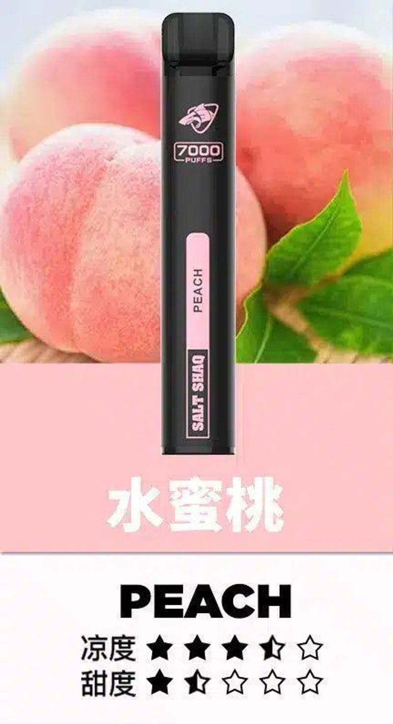 SALT SHAQ拋棄式電子煙 多口味搭配穩定輸出，更看重結構與日用手感