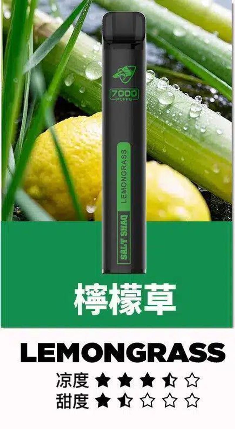 SALT SHAQ拋棄式電子煙 多口味搭配穩定輸出，更看重結構與日用手感