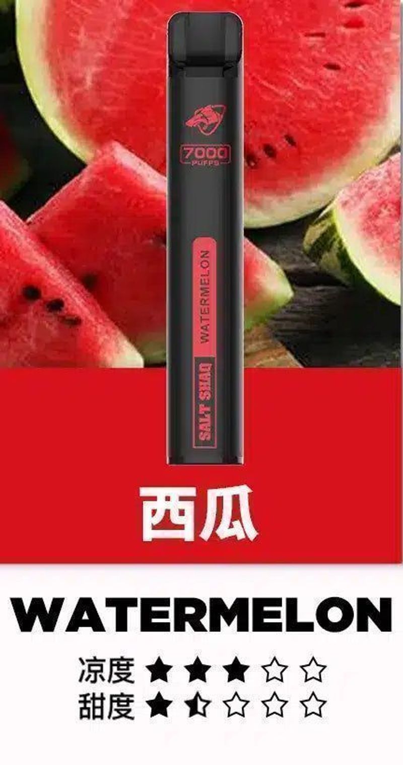SALT SHAQ拋棄式電子煙 多口味搭配穩定輸出，更看重結構與日用手感
