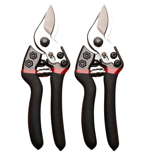 Scissors