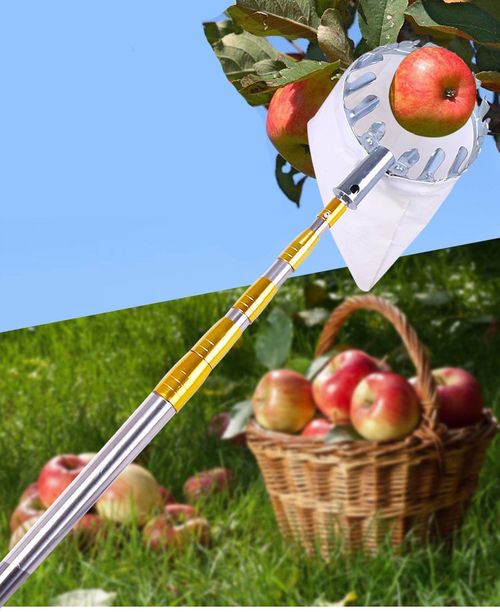 BURMONG 13.8 FT Telescoping Fruit Picker Pole with Soft Basket, Long Reach Tree Fruit Harvester Tool for Apple, Mango, Orange & More, Extendable Fruit Picking Tool for Garden Orchard