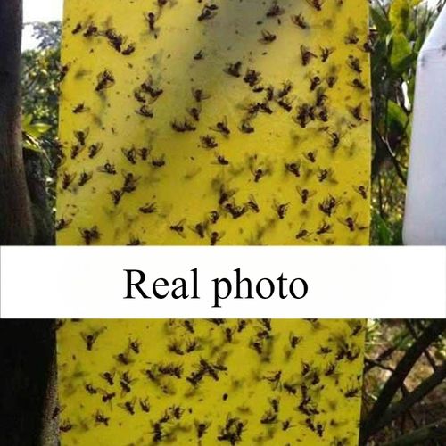 90 sticky insect traps, double-sided yellow sticky insect traps, agricultural thrips traps, garden insect traps