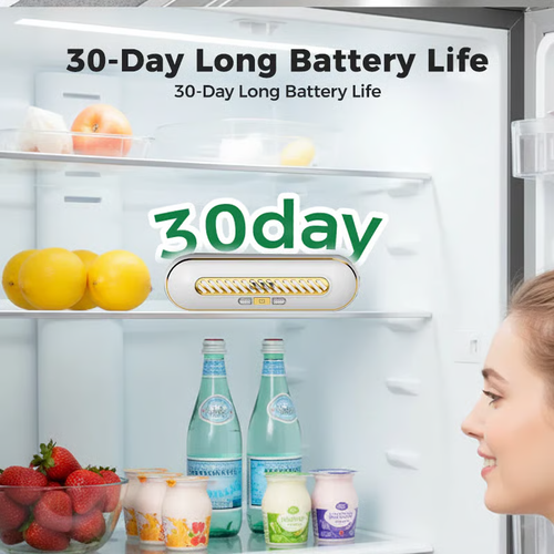 Hot Sale🔥60%OFF🔥Rechargeable Portable Fridge Sterilizer