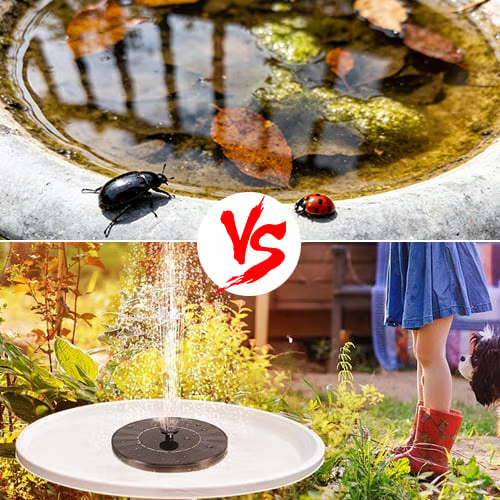 Solar Fountain Pump