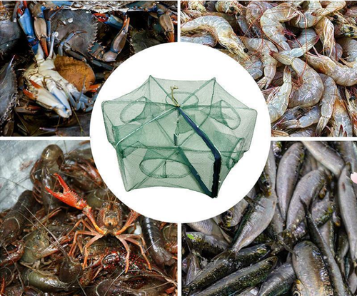 🦐🦀Automatic Foldable Fish Catcher – The Smart Trap for Bigger Catches! 🎣✨
