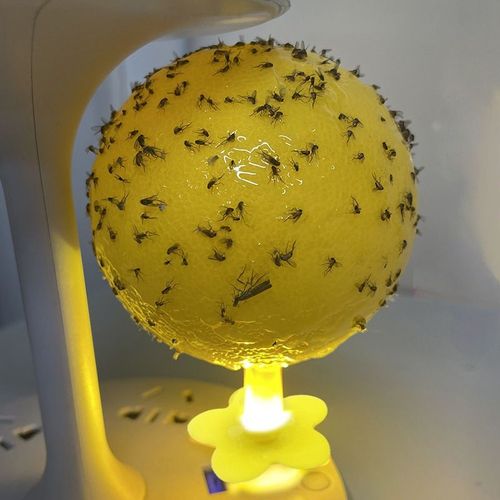 Indoor glowing insect traps, fly traps, sticky insect balls, traps, sticky mosquitoes, flies, fruit flies, small flying insects