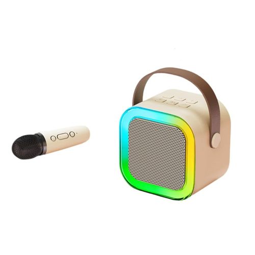 Microphone Wireless Bluetooth Speaker Singing Wireless Portable All-in-One Home KTV Set) (Two Microphones)