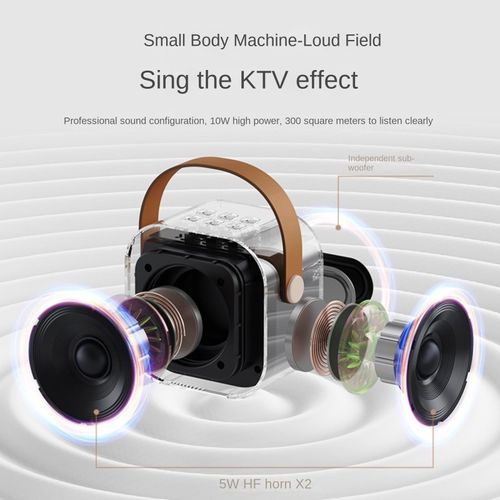 Microphone Wireless Bluetooth Speaker Singing Wireless Portable All-in-One Home KTV Set) (Two Microphones)