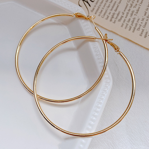 Plain hoop earrings women's light luxury niche temperament high-end earrings 925 silver needle earrings (7cm max)