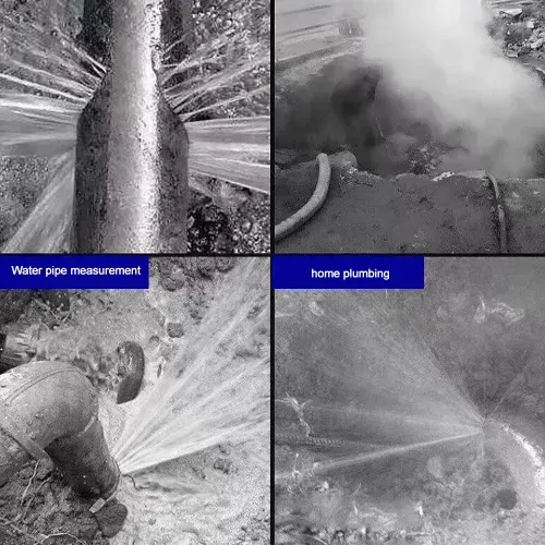 Pipe Leak Detector Anti-bugging Device