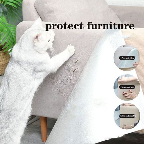 Hot sale -49%🔥Cat Scratching